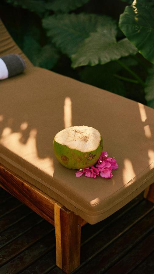 Aldea Paraiso - Adults Only - Boutique Hotel Puerto Escondido  Exteriör bild